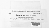 Sphaerulina gei image